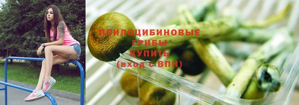 трава Абаза