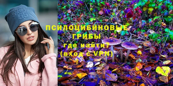 трава Абаза