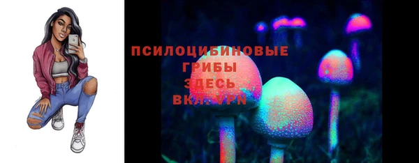 трава Абаза