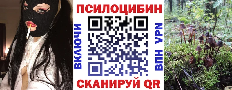 МЕГА ССЫЛКА  Магнитогорск  Галлюциногенные грибы прущие грибы 
